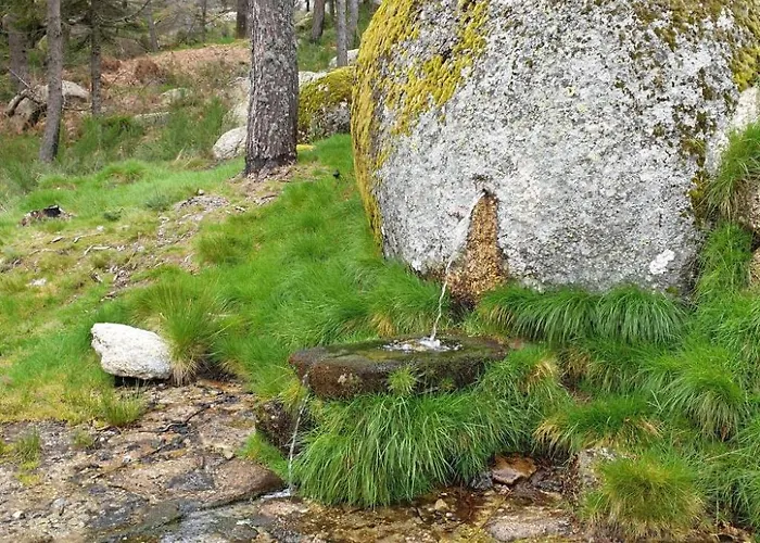 Haus Der Schwaene - Geopark Serra Da Estrela By Interhome